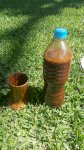 Готовый напиток Аяуаска (ayahuasca) ayawaska 550 мл с дмт